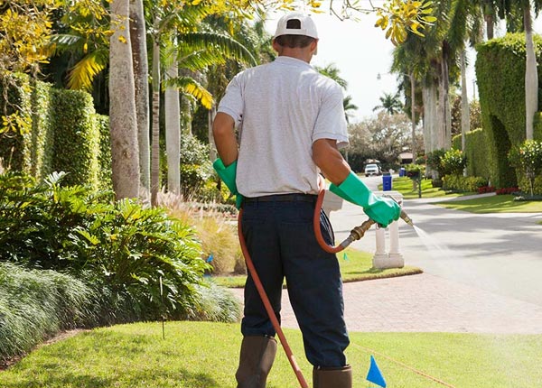 About Islandia NY Pest Control Pros